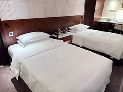 -广州白天鹅宾馆