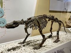 -国家自然博物馆