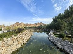 -红山国家森林公园