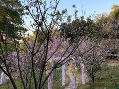 -求水山公园