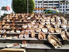 -珍珠海味购物中心