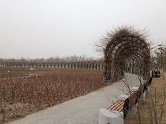 -水西公园