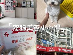 -御宝贝24h宠物医院·转诊中心·CT核磁血透中心(厦门总院)