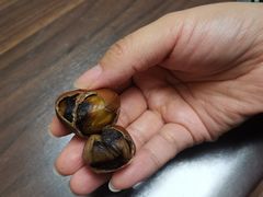 -二斗栗子(黄河道店)
