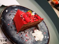-飞行喵MR PILOT|猫舍·猫咖(静安大融城店)