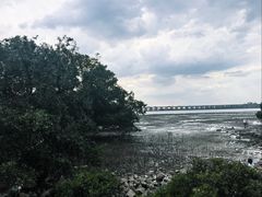 -宝安西湾红树林湿地公园