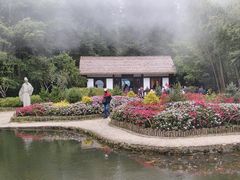 -庐山风景区花径公园