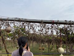 -汉长安城未央宫国家考古遗址公园