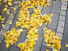 -两江幸福广场