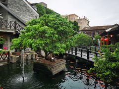 -猪肉婆私房菜(容桂总店)