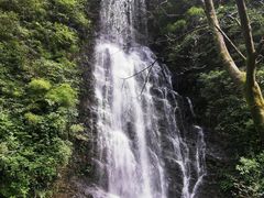 -神龙峡风景区