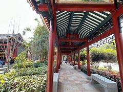 -顺峰山公园