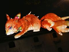 -横店影视城梦幻谷园区