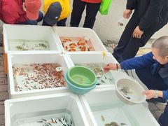 -哈尔滨道外花鸟鱼市场