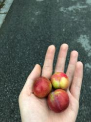 -乐高品牌旗舰店(人民广场店)
