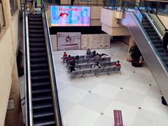 -上海中医药大学附属曙光医院(东部)