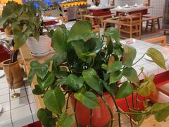 大堂-蛙一刀·麻椒鱼火锅(金仙桥店)