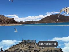 -羊卓雍措