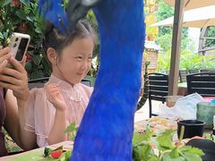 -品德宏·孔雀宴的发源地(金塔园店)