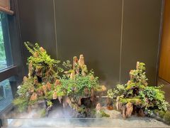 -梅间堂茶馆(绿地缤纷城店)
