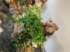 -品湘宴·湖南宁乡菜