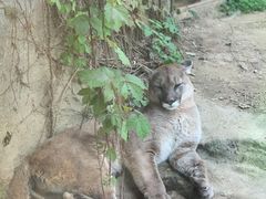 -杭州野生动物世界