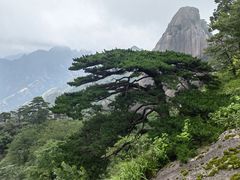 -黄山风景区