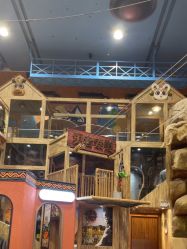 -卡通尼·Safari非洲探索乐园·生日会(金桥国际商业广场店)