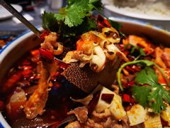 -红辣椒·川菜·火锅(张杨路店)