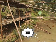 -西双版纳原始森林公园
