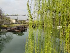 -乌镇景区