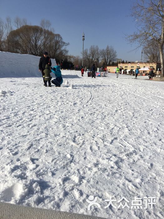 朝陽公園亞布洛尼滑雪場圖片 - 第8張