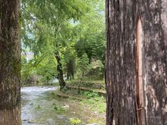 -东天目山风景区