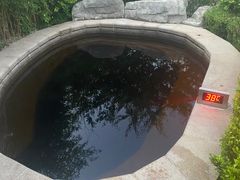 -大连金石滩绿发温泉假日酒店