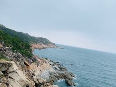 -广东惠东海龟国家级自然保护区