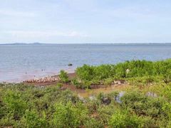 -东寨港红树林旅游区