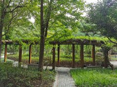 -徐家汇源景区-衡山公园