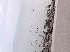 -深圳湾公园(南山区)