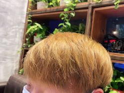-T.1 hair salon烫染接发