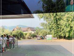 -中国科学院西双版纳热带植物园