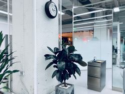 -P.STYLE派斯造型