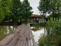 -宁波杭州湾国家湿地公园