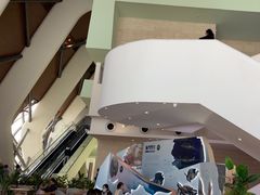 -抱抱地球咖啡馆(国家海洋博物馆店)