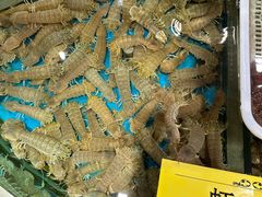 -天天渔港(杏林街店)