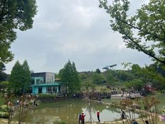 -铁山坪森林公园