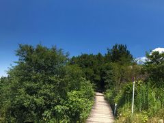 -大罗山风景区