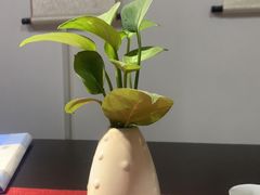 -诗宇时光茶艺书法古琴培训