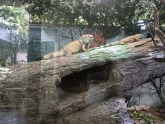 -成都动物园