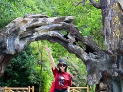 -龙湾潭国家森林公园