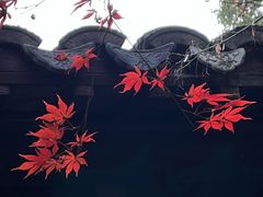 -常熟方塔园